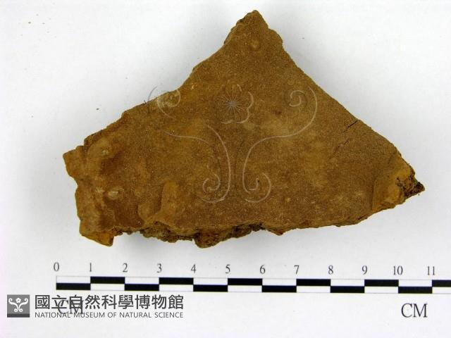登錄號:F0019900藏品圖，第1張