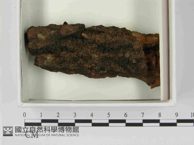 登錄號:F0021600藏品圖，第1張