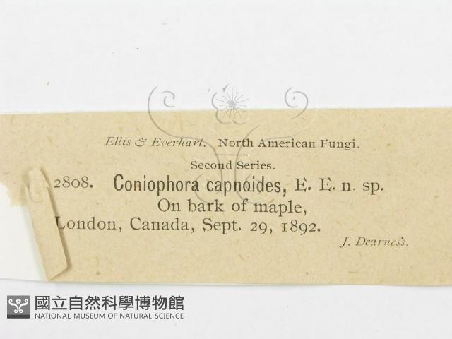 登錄號:F0011600藏品圖，第3張