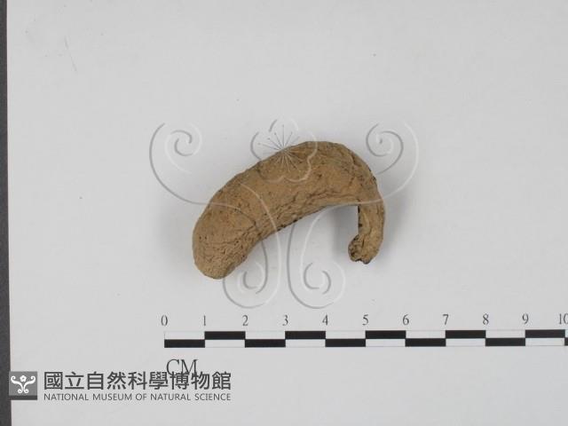 登錄號:F0002600藏品圖，第1張