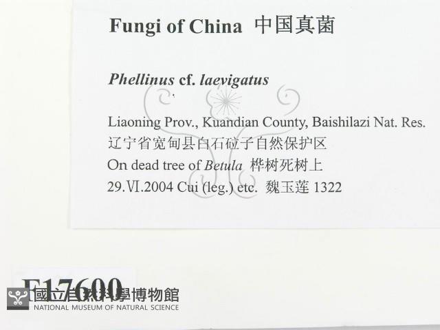登錄號:F0017600藏品圖，第3張