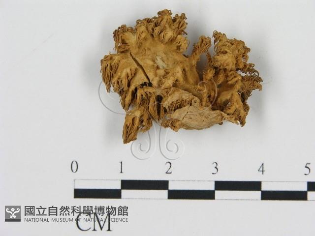 登錄號:F0011400藏品圖，第1張