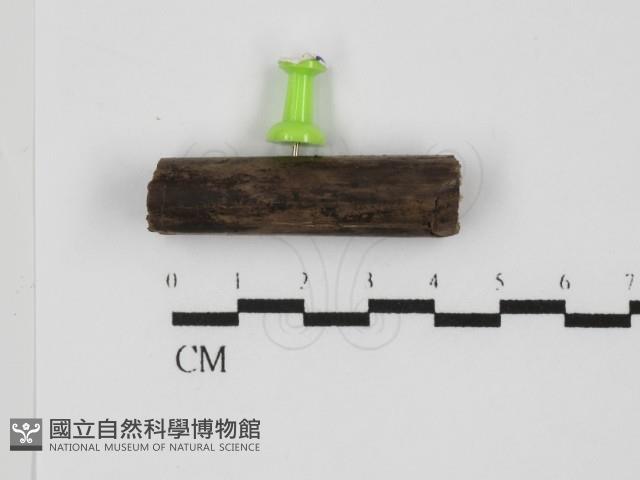 登錄號:F0031400藏品圖，第1張