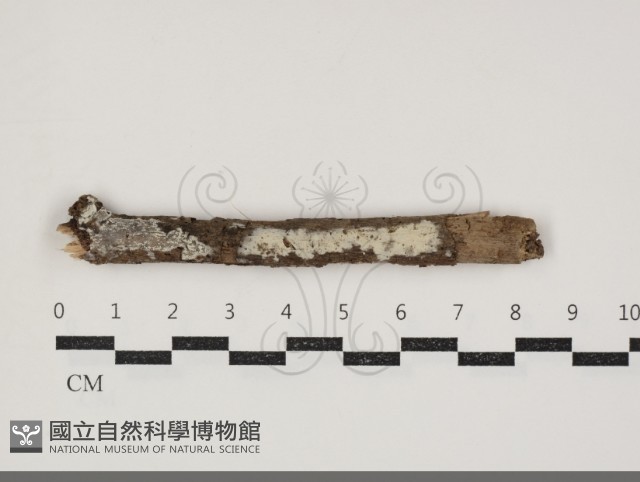 登錄號:F0034400藏品圖，第1張