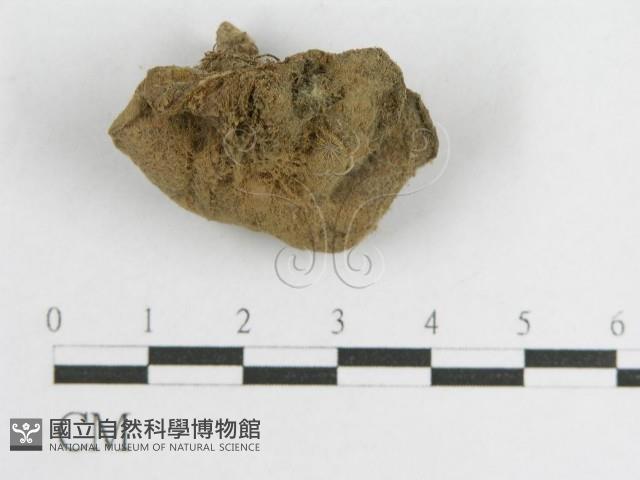 登錄號:F0001700藏品圖，第1張