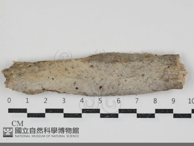登錄號:F0034700藏品圖，第1張