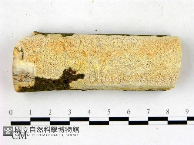 登錄號:F0022700藏品圖，第1張