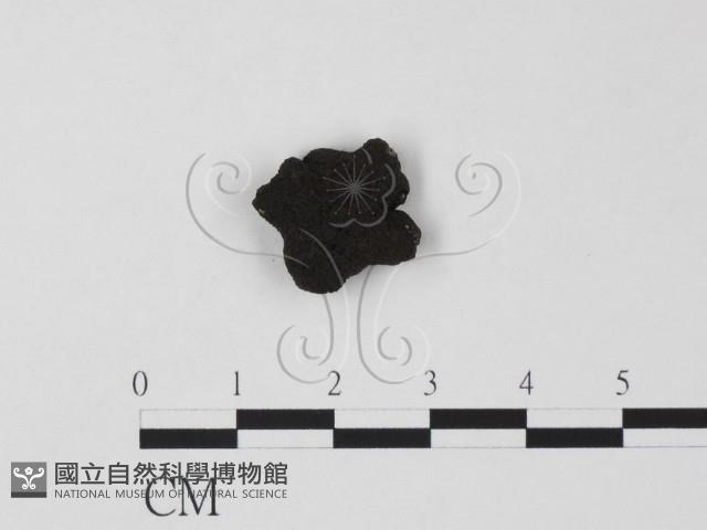 登錄號:F0007700藏品圖，第1張