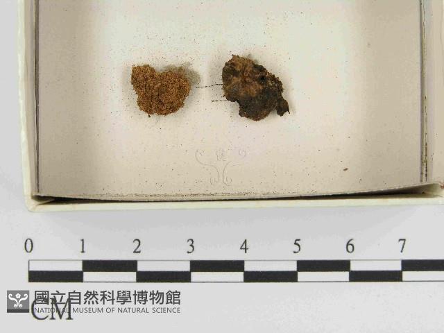 登錄號:F0021500藏品圖，第1張