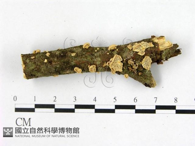 登錄號:F0022500藏品圖，第1張