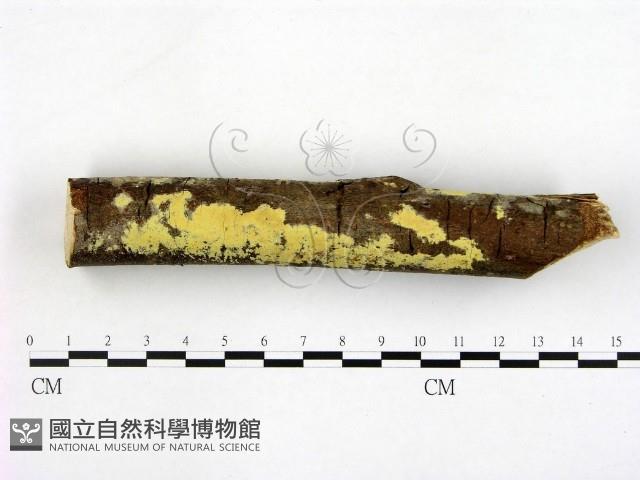 登錄號:F0002500藏品圖，第1張