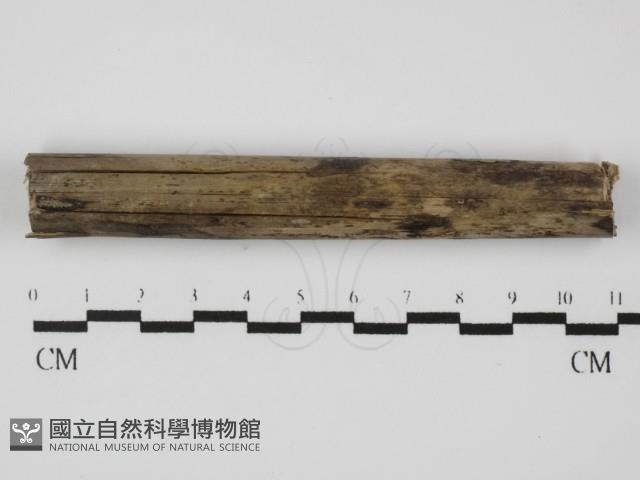 登錄號:F0031100藏品圖，第1張