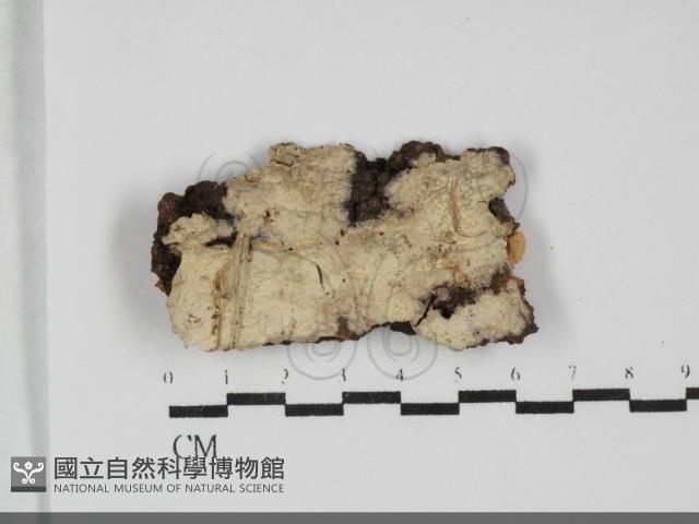 登錄號:F0032300藏品圖，第1張