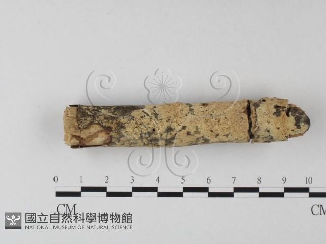 登錄號:F0025300藏品圖，第1張