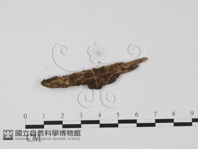 登錄號:F0023300藏品圖，第1張