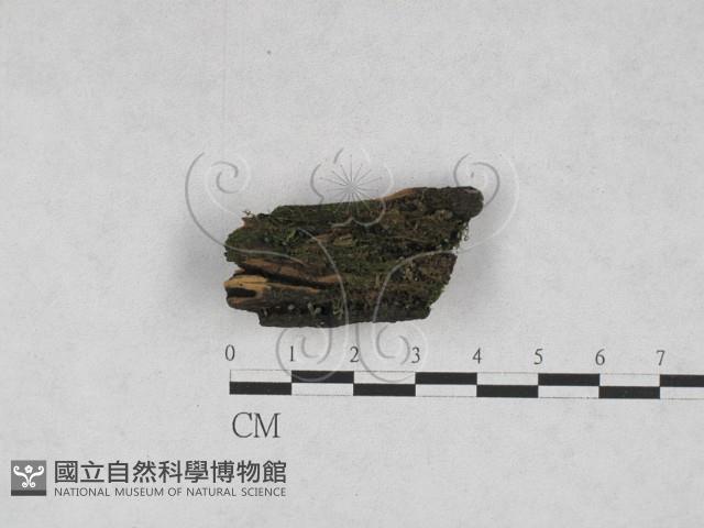 登錄號:F0028210藏品圖，第1張
