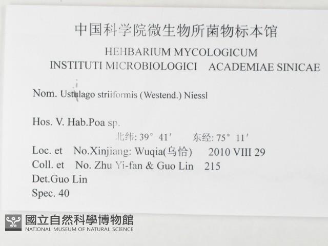 登錄號:F0026210藏品圖，第3張