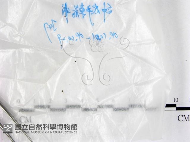 登錄號:F0017210藏品圖，第1張
