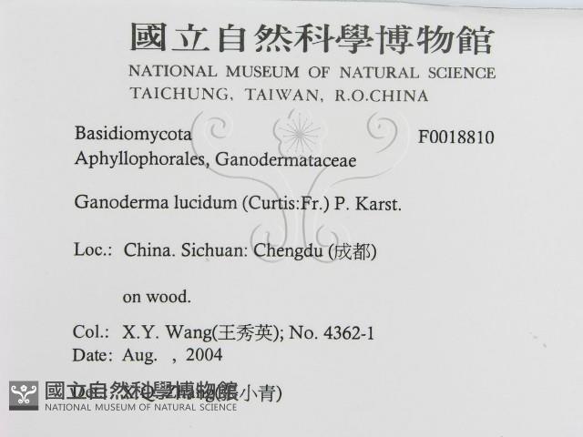 登錄號:F0018810藏品圖，第3張