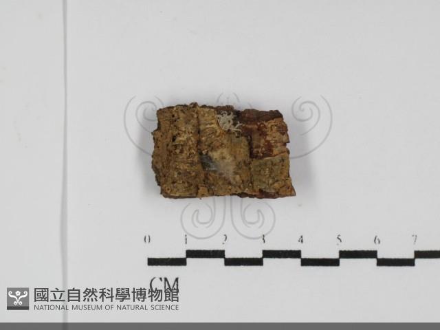 登錄號:F0031810藏品圖，第1張