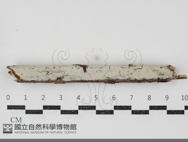 登錄號:F0034810藏品圖，第1張