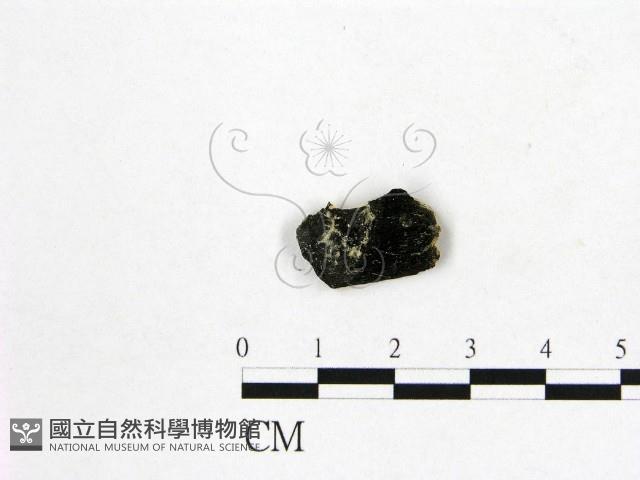 登錄號:F0017810藏品圖，第1張