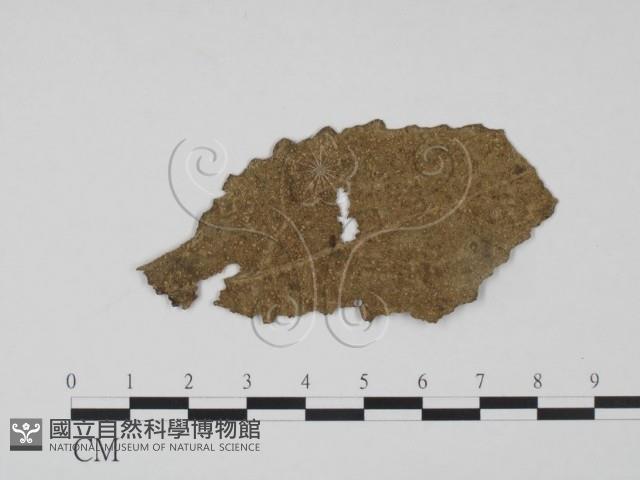 登錄號:F0018910藏品圖，第1張