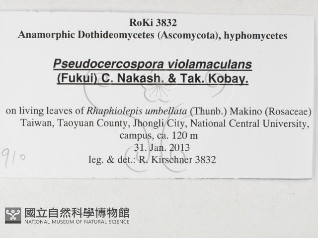 登錄號:F0026910藏品圖，第3張