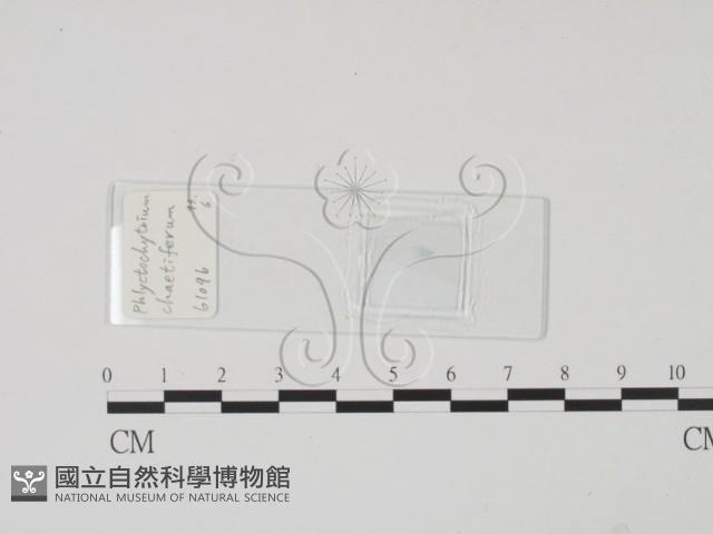 登錄號:F0017910藏品圖，第1張