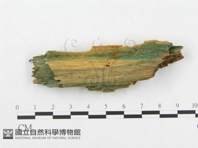 登錄號:F0005910藏品圖，第1張