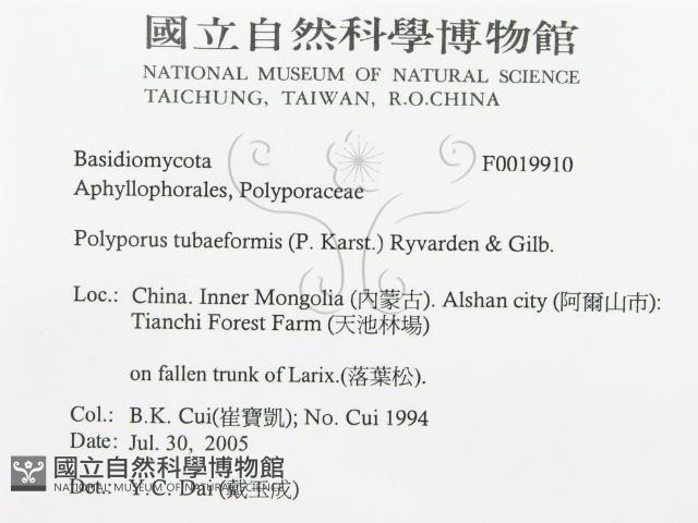 登錄號:F0019910藏品圖，第3張