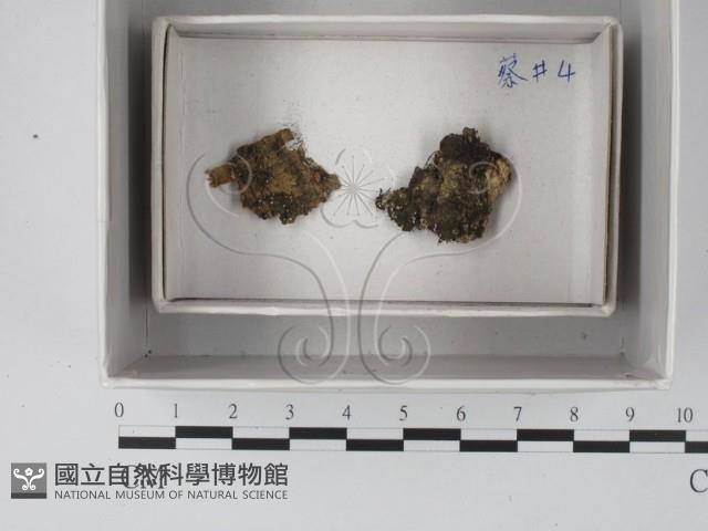 館號:F0018610藏品圖，第1張