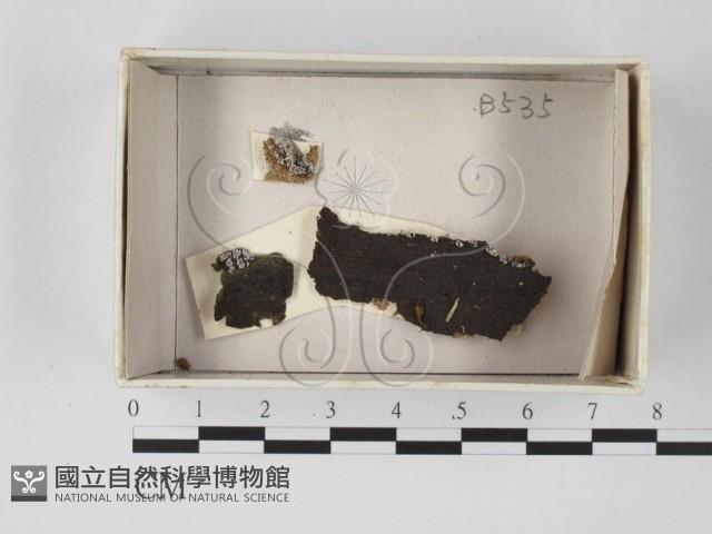 登錄號:F0020610藏品圖，第1張