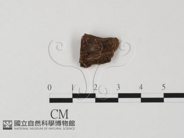 登錄號:F0022610藏品圖，第1張