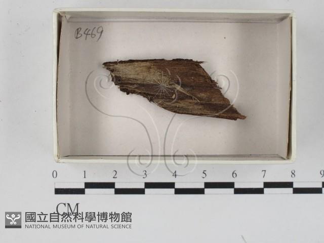 登錄號:F0018410藏品圖，第1張