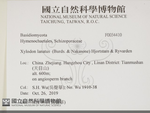 登錄號:F0034410藏品圖，第1張