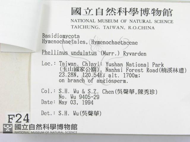 登錄號:F0002410藏品圖，第3張