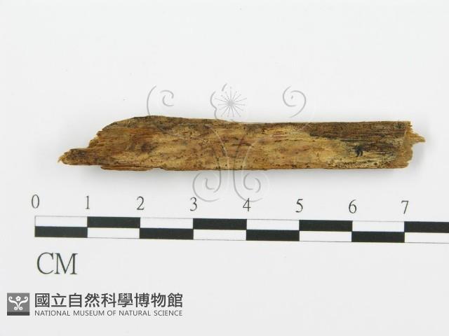 登錄號:F0016710藏品圖，第1張