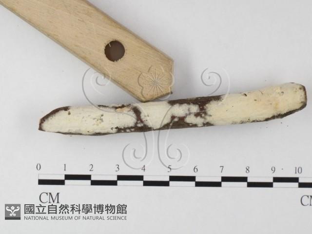 登錄號:F0022710藏品圖，第1張