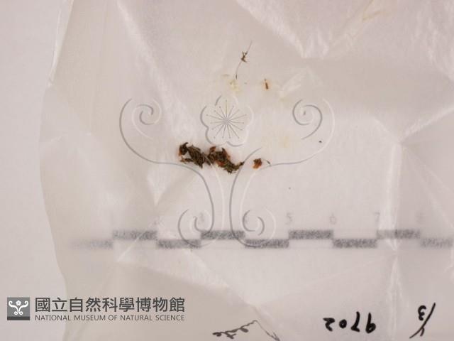 登錄號:F0005710藏品圖，第1張