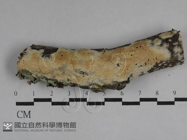 登錄號:F0029710藏品圖，第1張