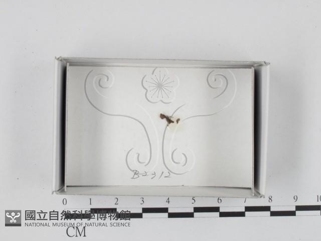 登錄號:F0018510藏品圖，第1張
