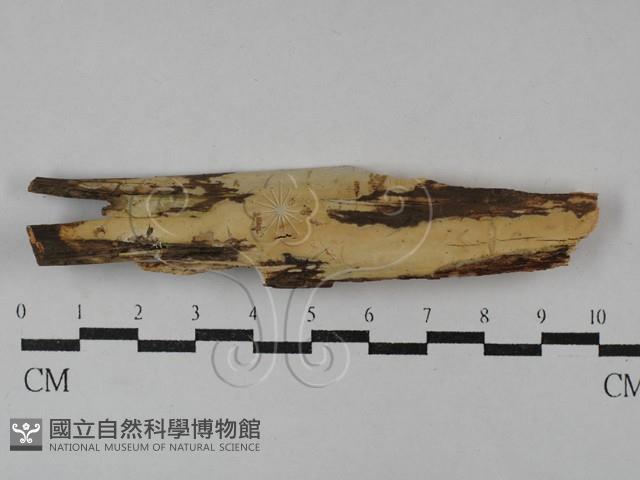 登錄號:F0029510藏品圖，第1張