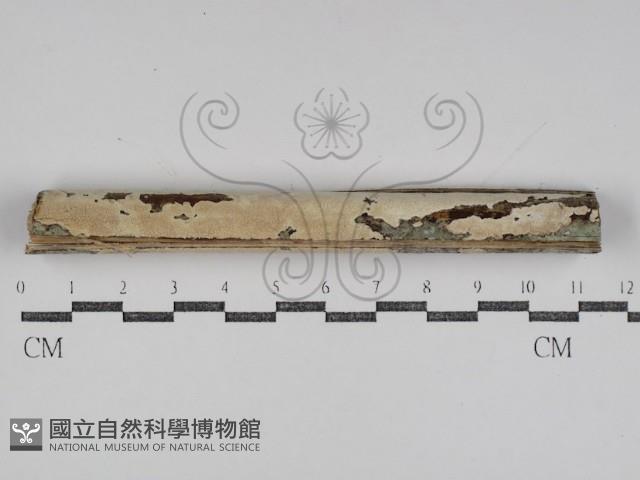 登錄號:F0031110藏品圖，第1張