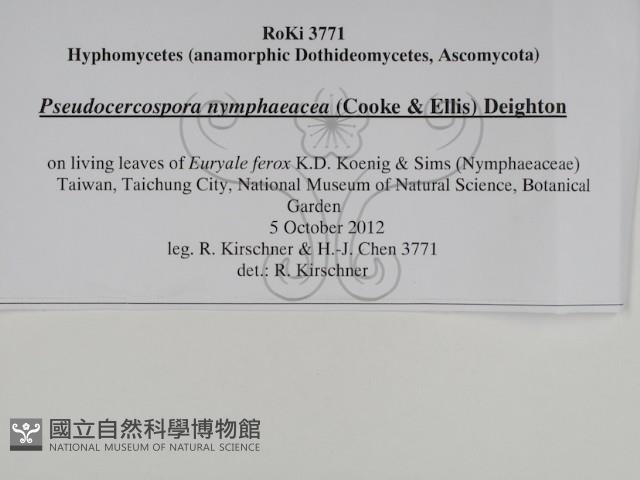 登錄號:F0031010藏品圖，第3張