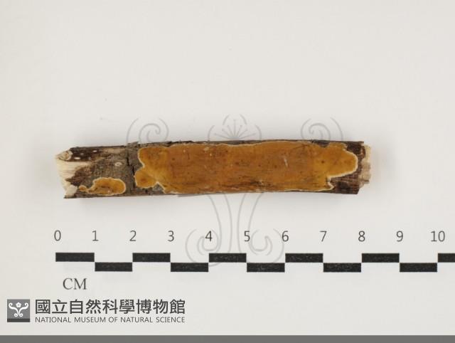 登錄號:F0034010藏品圖，第1張