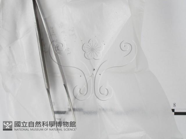 登錄號:F0022010藏品圖，第1張