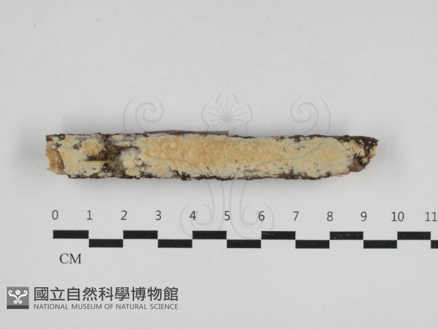 登錄號:F0033010藏品圖，第1張
