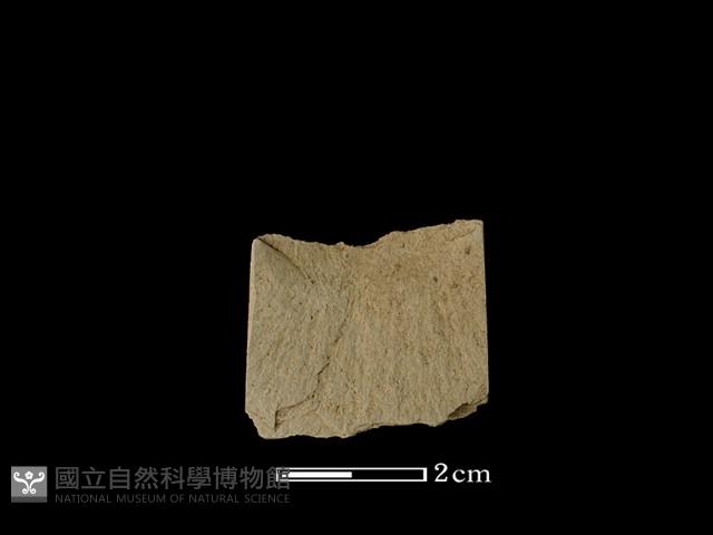 矛鏃形器藏品圖，第2張