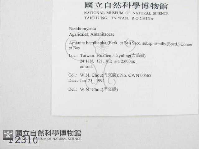 登錄號:F0002310藏品圖，第3張